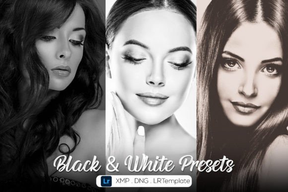 Download 15 B&amp;W - Professional Lightroom Presets - Professional Collection