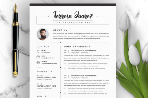Download Professional Clean Resume/CV - Professional Collection