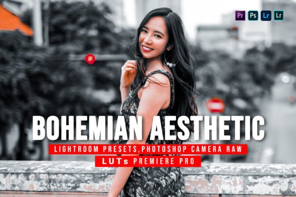 Download 10 Bohemian Aesthetic Presets and Luts - Aesthetic presets Collection