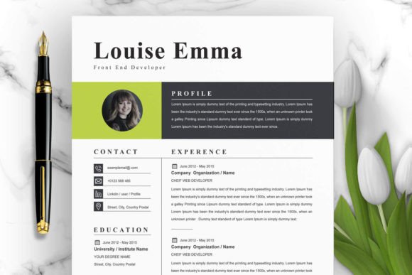 Download Professional Clean Resume Template - Professional Collection