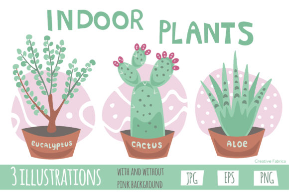 Download Indoor Plants - Indoor Collection